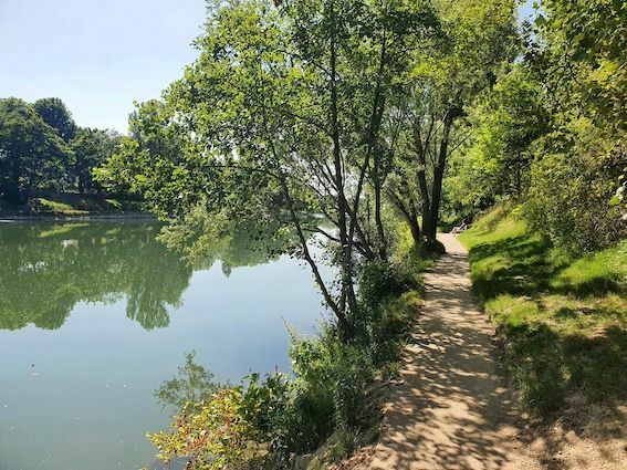 Balade nature au fil de la Marne