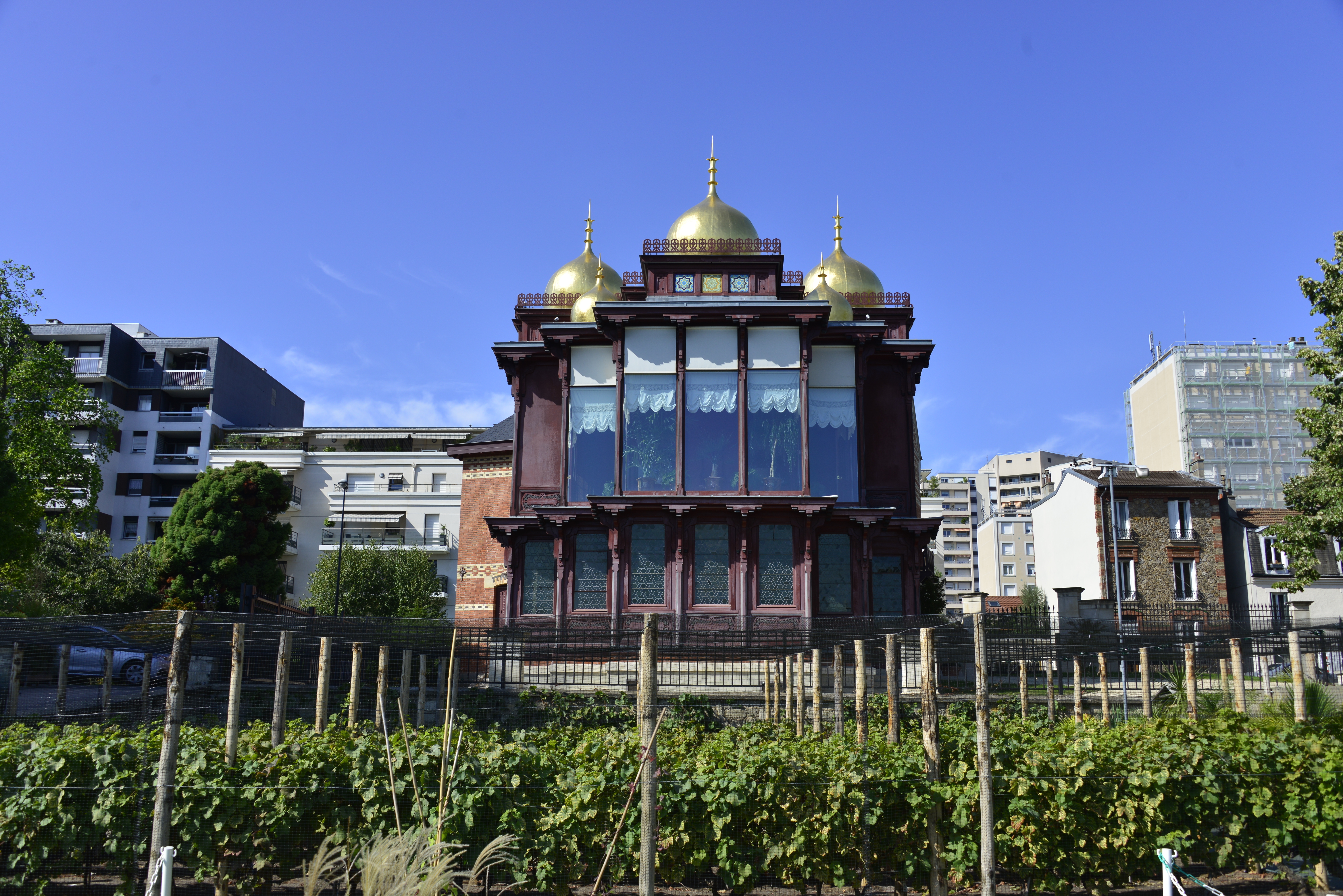 Visite guidée des vignes de Courbevoie