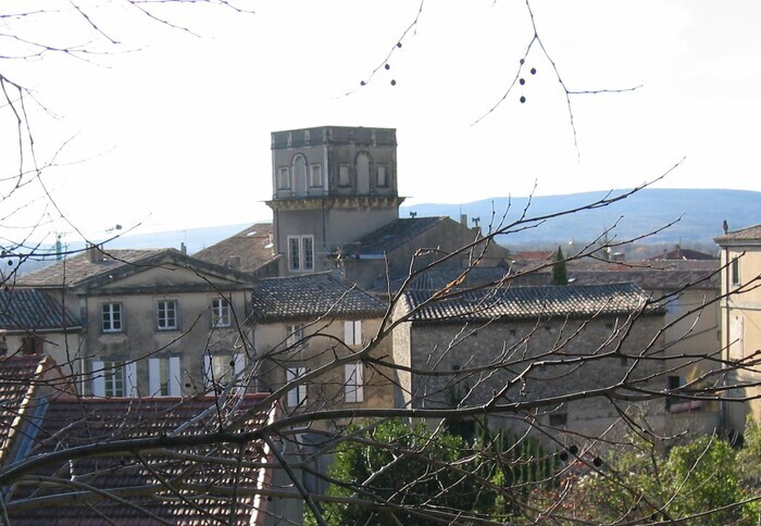 Visite guidée de l'escalier et de la tour cubique de Donzère (26)