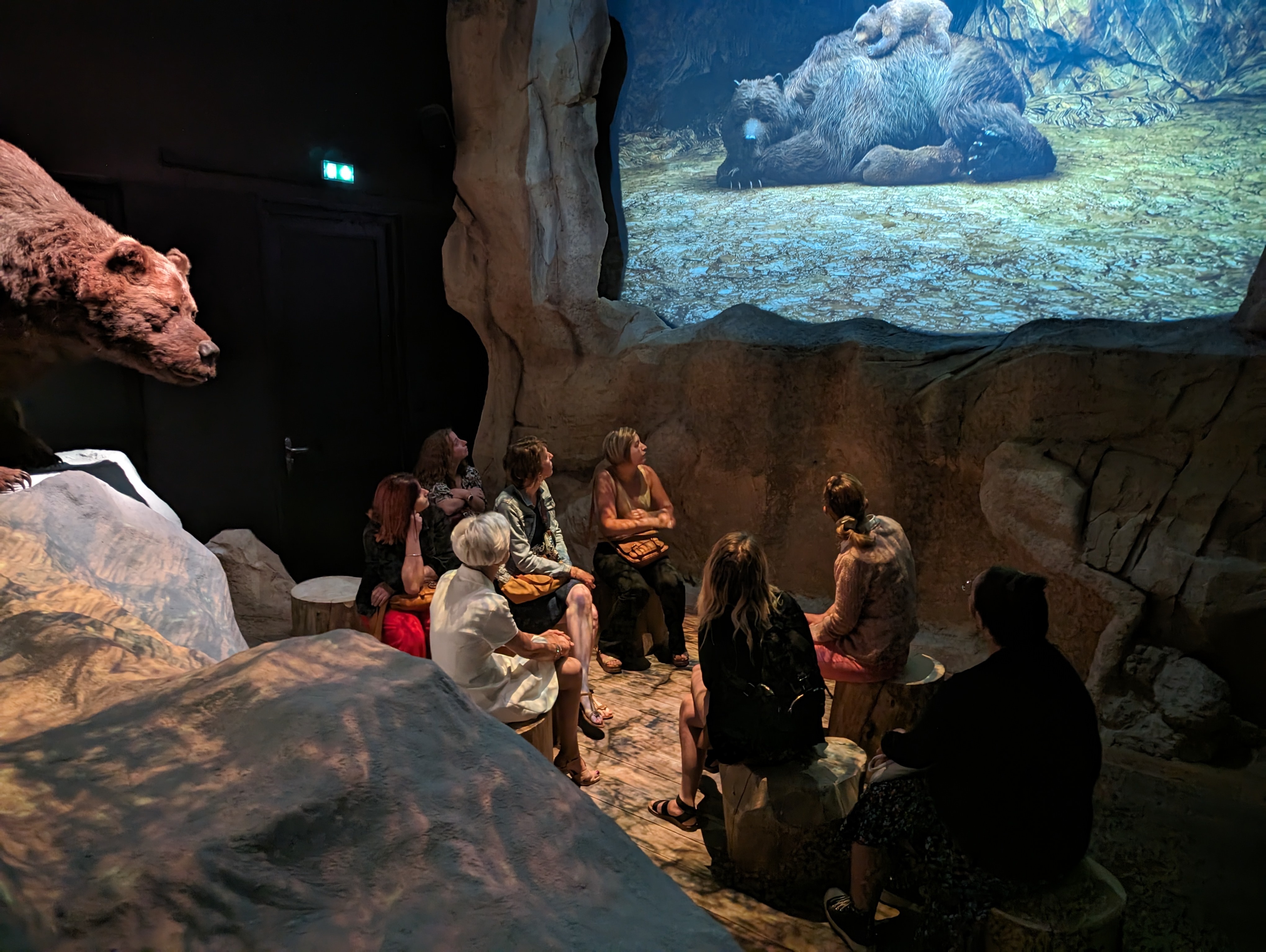 Visite libre du Musée de l'ours des cavernes