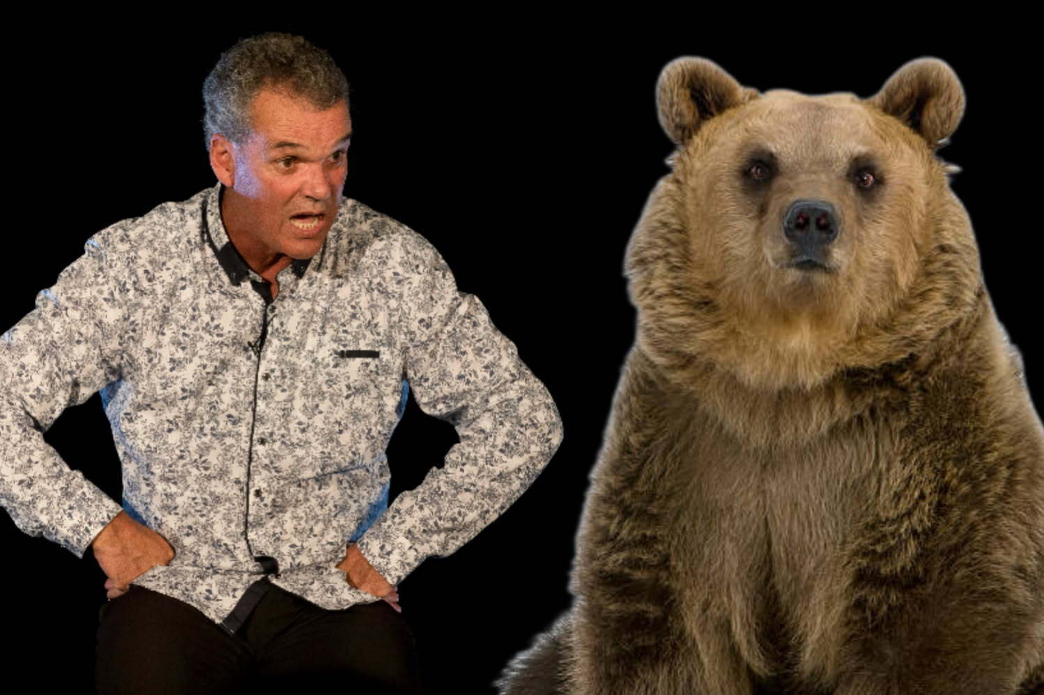 Spectacle : Olivier de Robert, ours y es-tu?