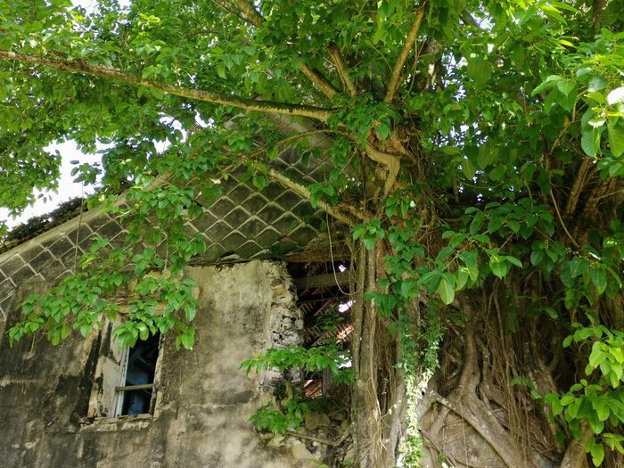 VISITE COMMENTÉE DE L'HABITATION DUFFERET