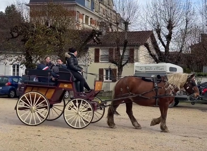 Tour en calèche dans le parc du château