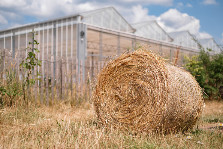 Accueil à la ferme