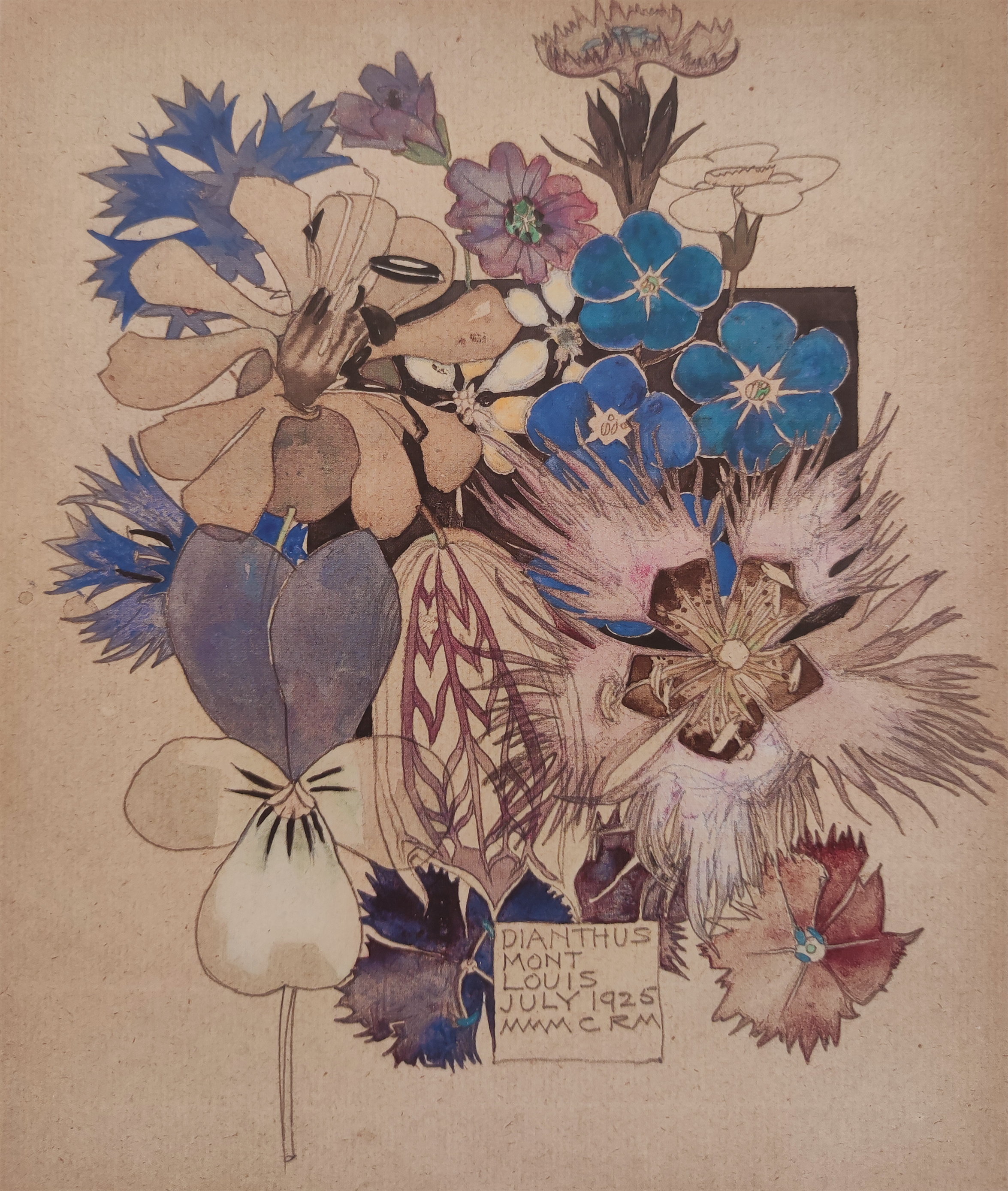Visite libre du centre Mackintosh