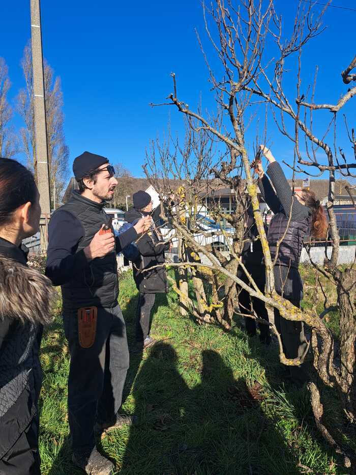 Agenda 2 Atelier taille d'hiver des fruitiers