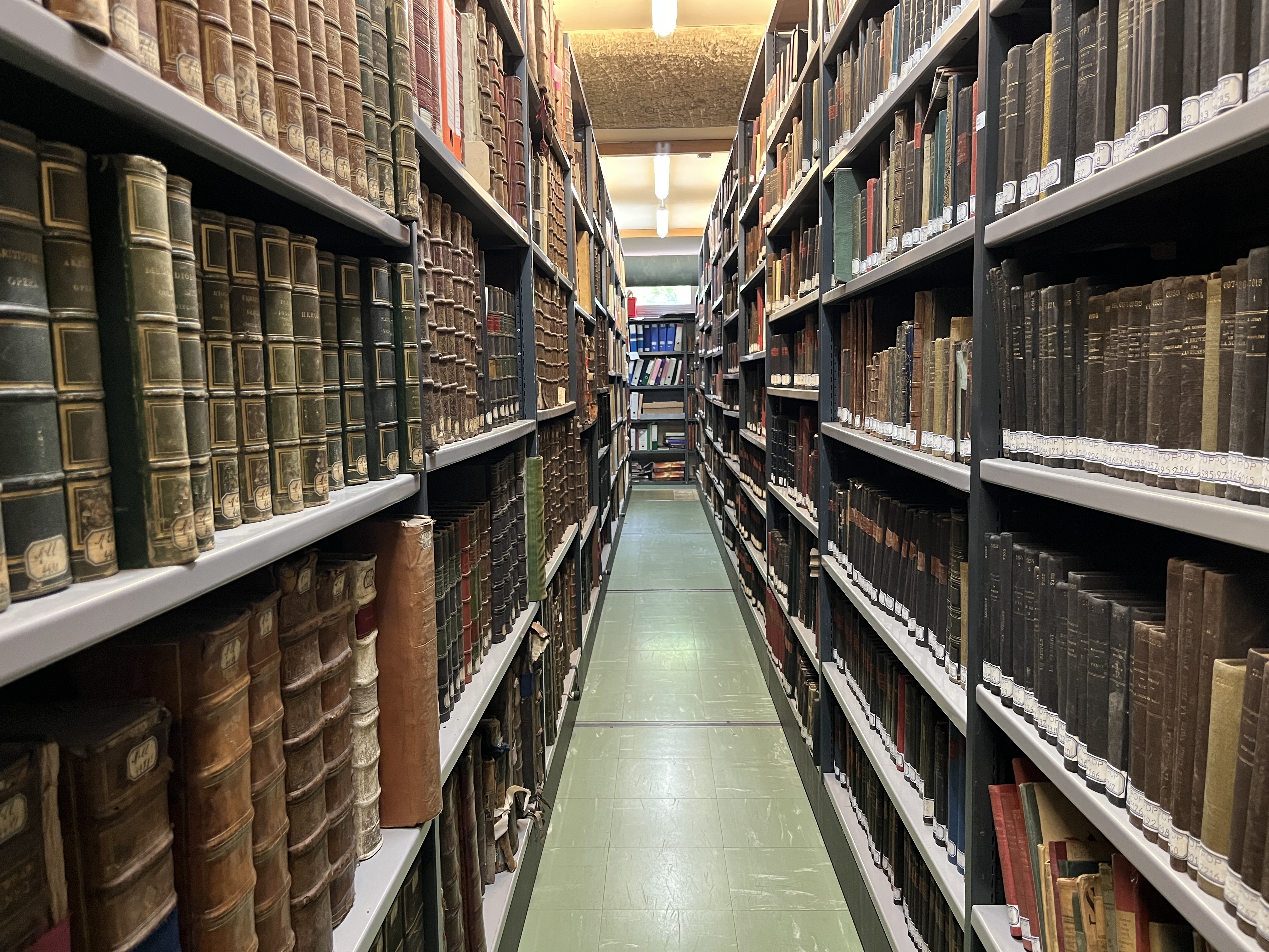 Visite guidée du fonds patrimonial et des archives municipales