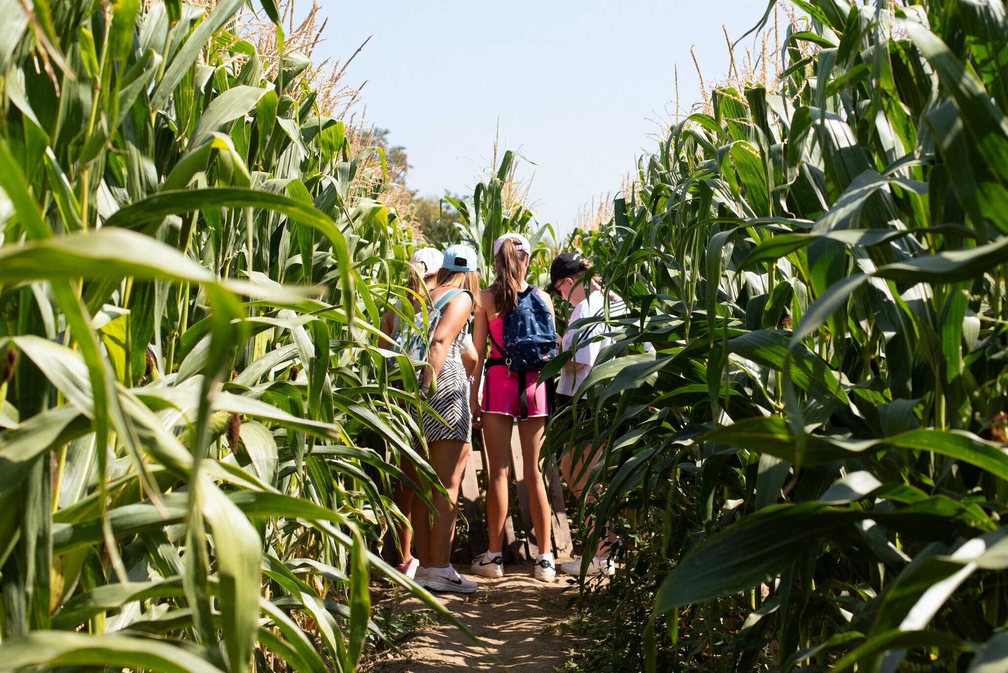 Mission Carv'impossible, au coeur du Labyrinthe de Carvin !