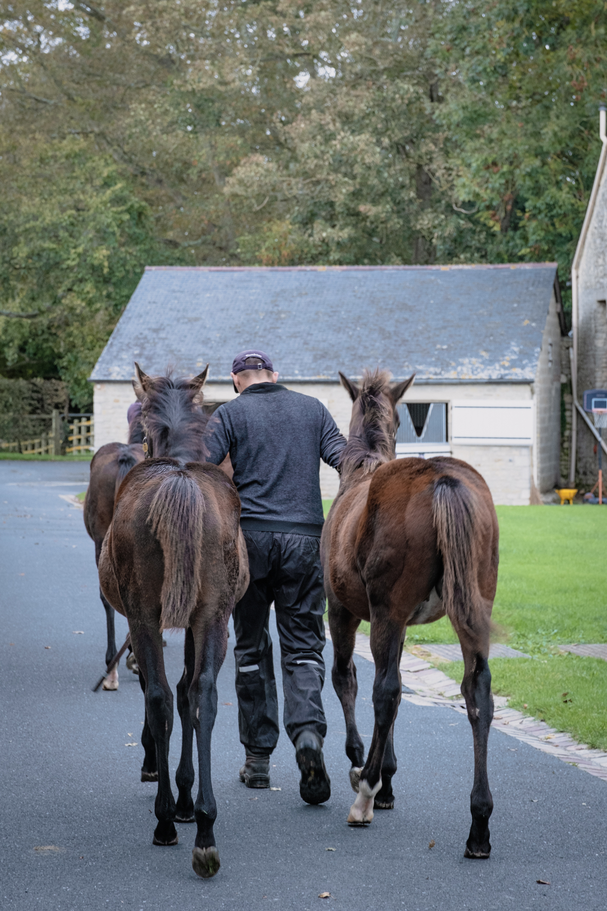Visite du Haras d’Etreham
