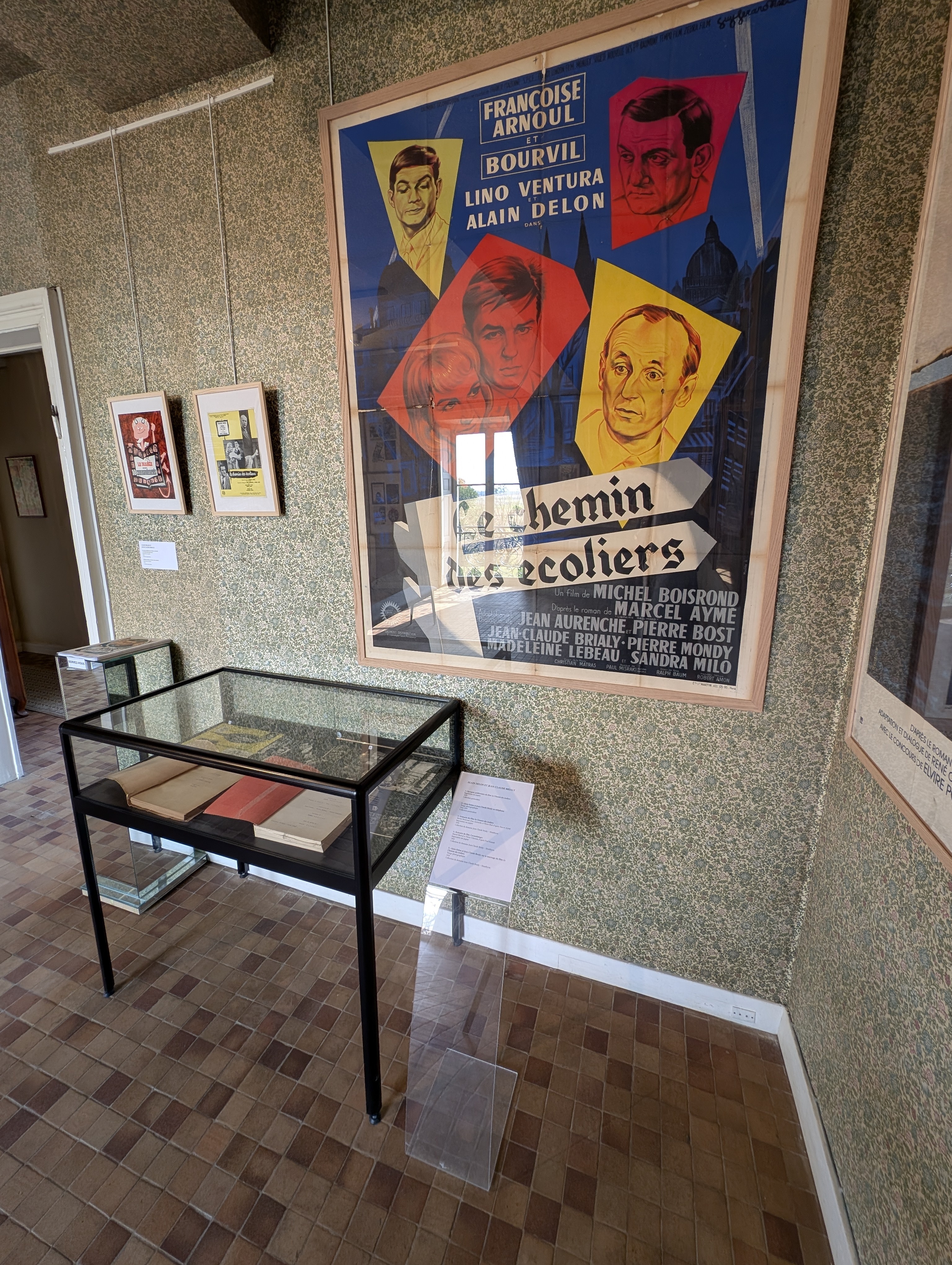 Visite guidée de l'exposition consacrée à Alain Delon