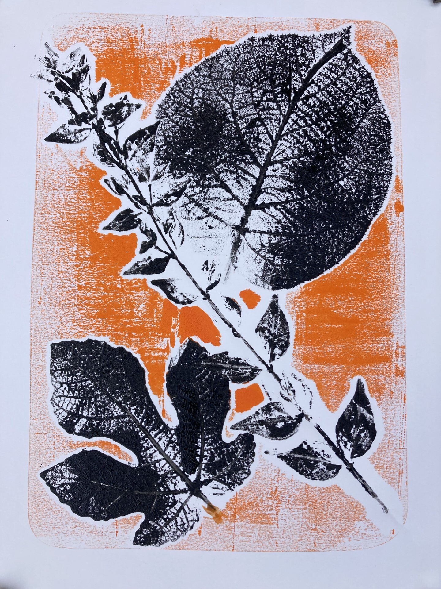 Atelier : monotypes de plantes