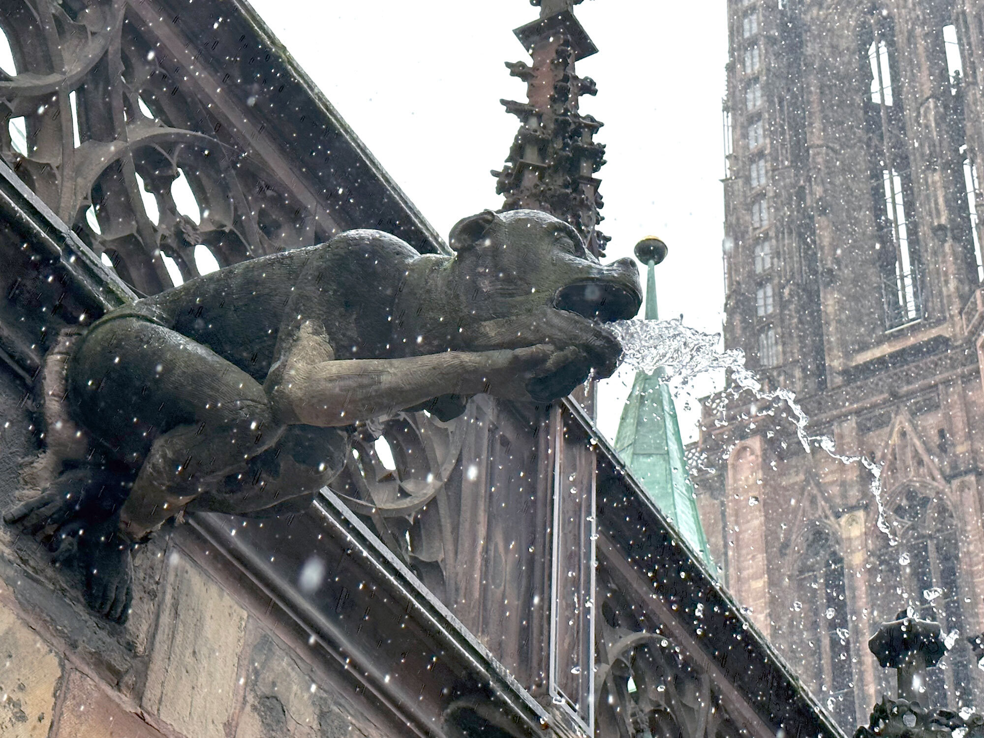Regards croisés sur le grès de la cathédrale de Strasbourg
