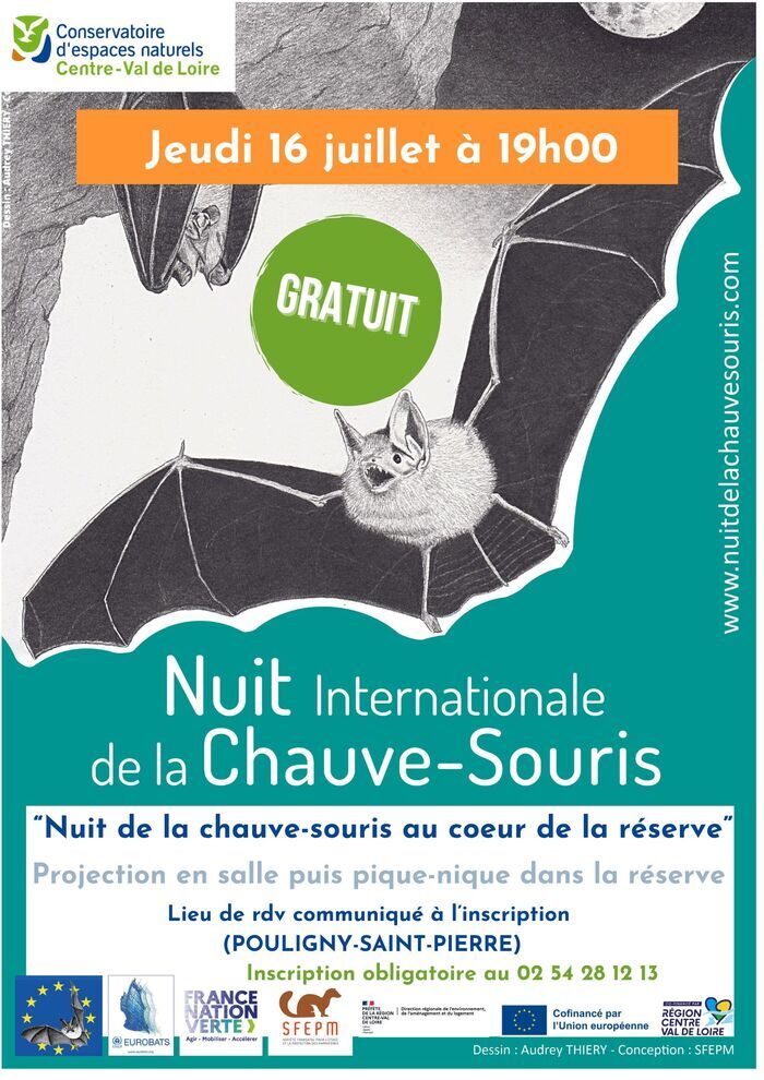 Nuit de la chauve-souris au cœur de la réserve