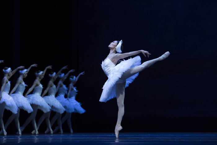 Le lac des cygnes, un spectacle magique