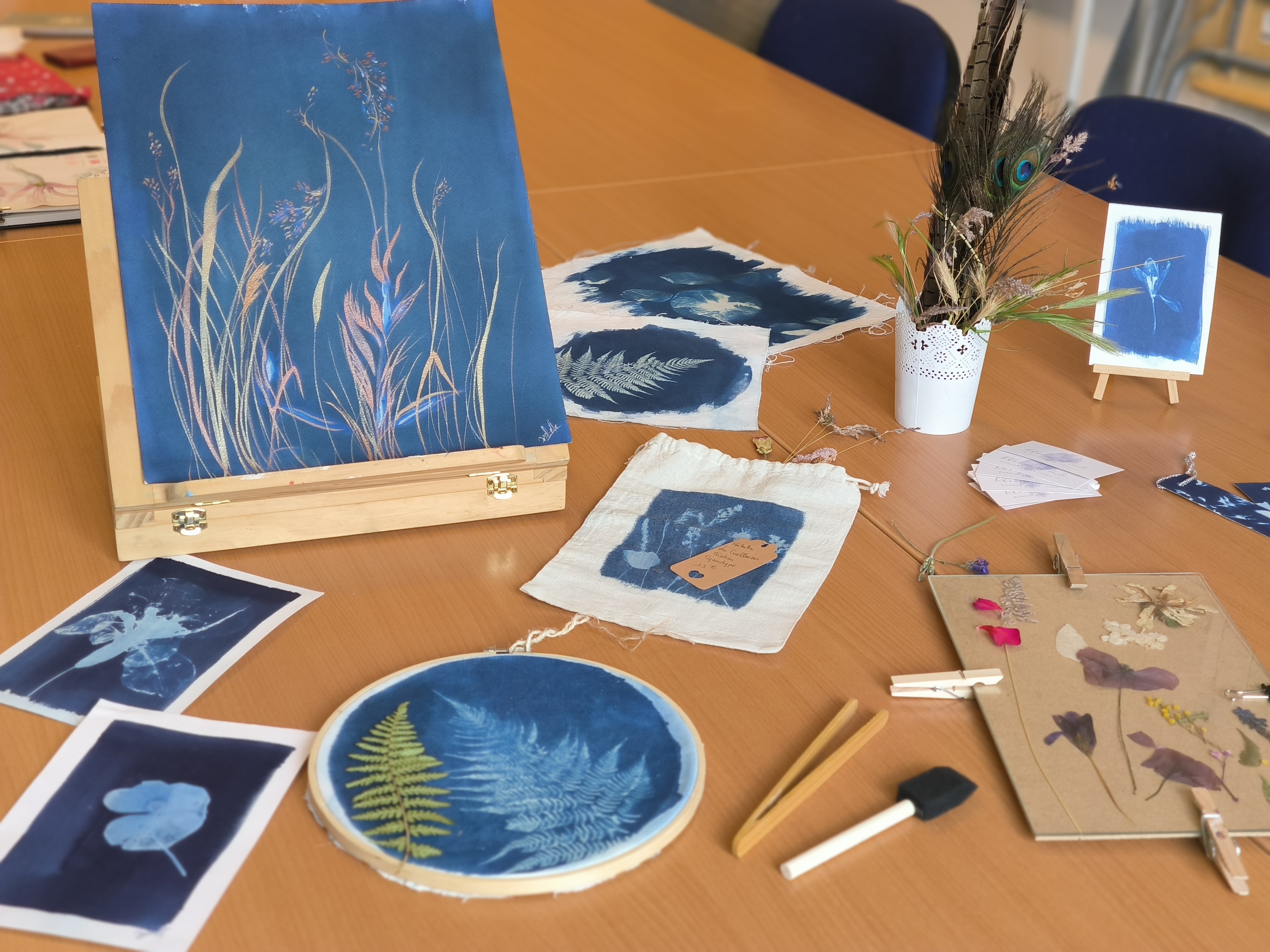 Atelier Cyanotype - Musée de Cerdagne