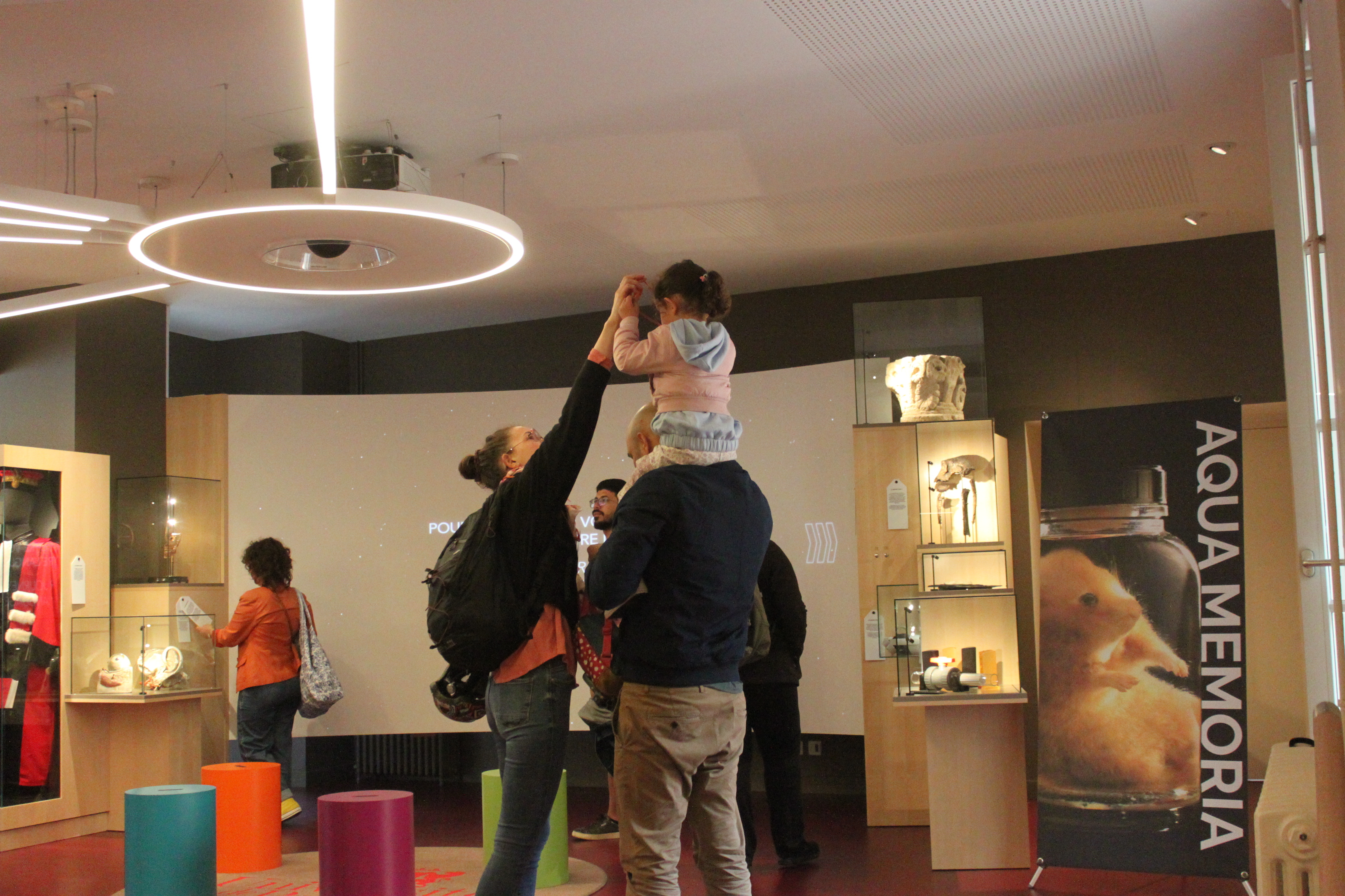 Visite libre de l'hôtel des sciences