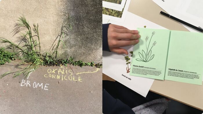 Atelier de graffiti botanique