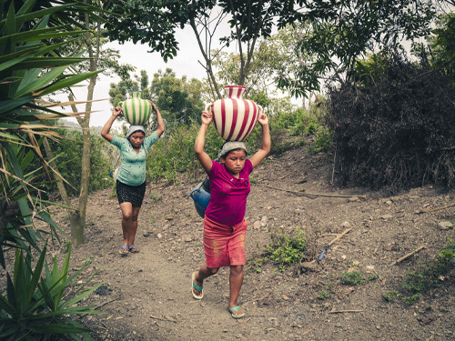 Vernissage - Au Guatemala, un jour les champs refleuriront