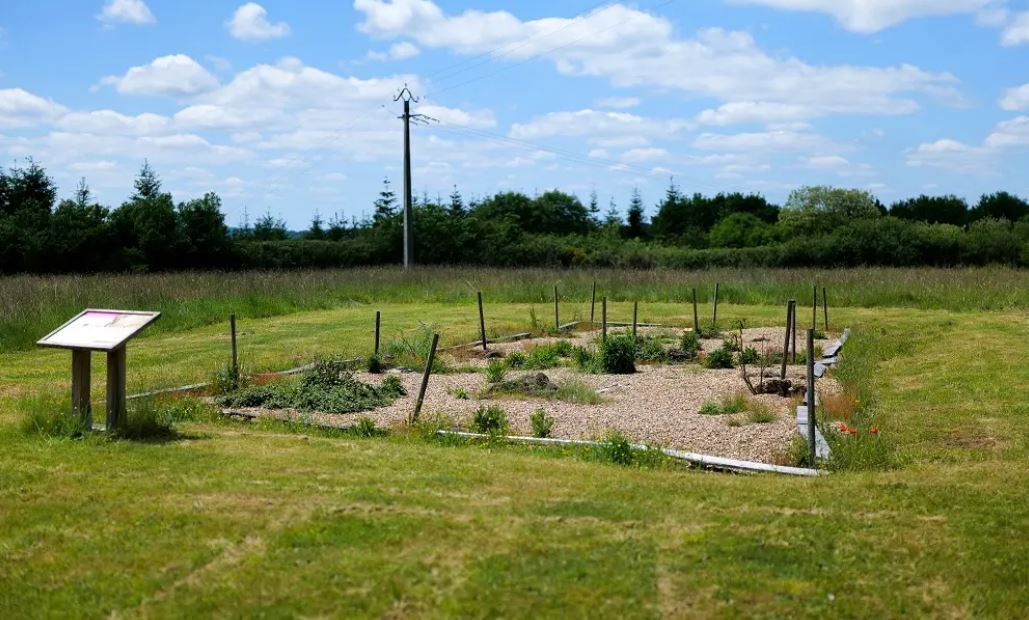 Site archéologique de la Motte