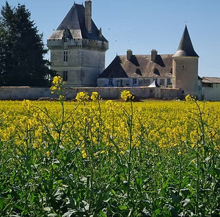 Ouverture exceptionnelle du château de Jouhé : visites guidées