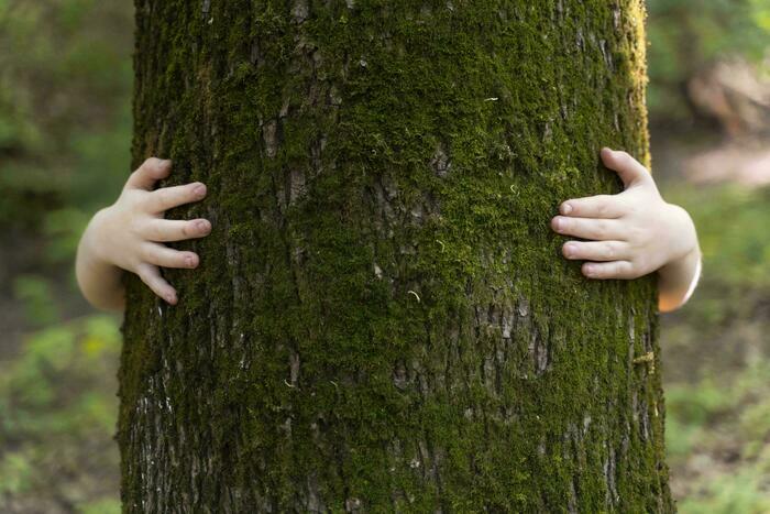 Sortie coorganisée par Île-de-France Nature