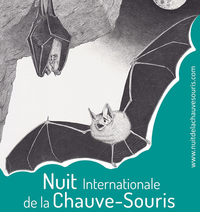 Nuit de la chauve-souris à Boscodon