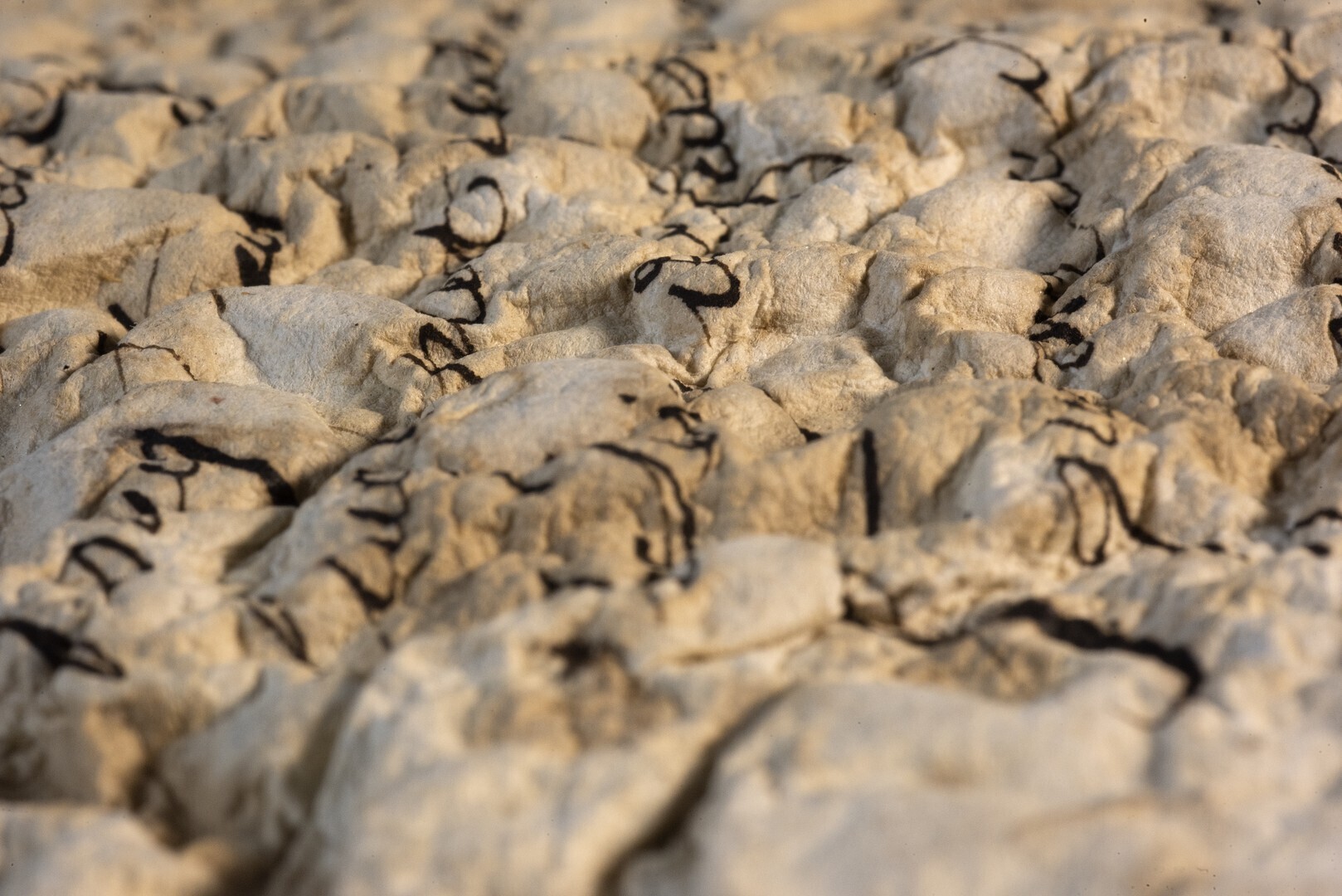 Exposition "Série B : le feu ça brûle et l'eau ça mouille "