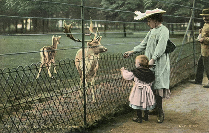 Histoire du Parc zoologique de Lyon