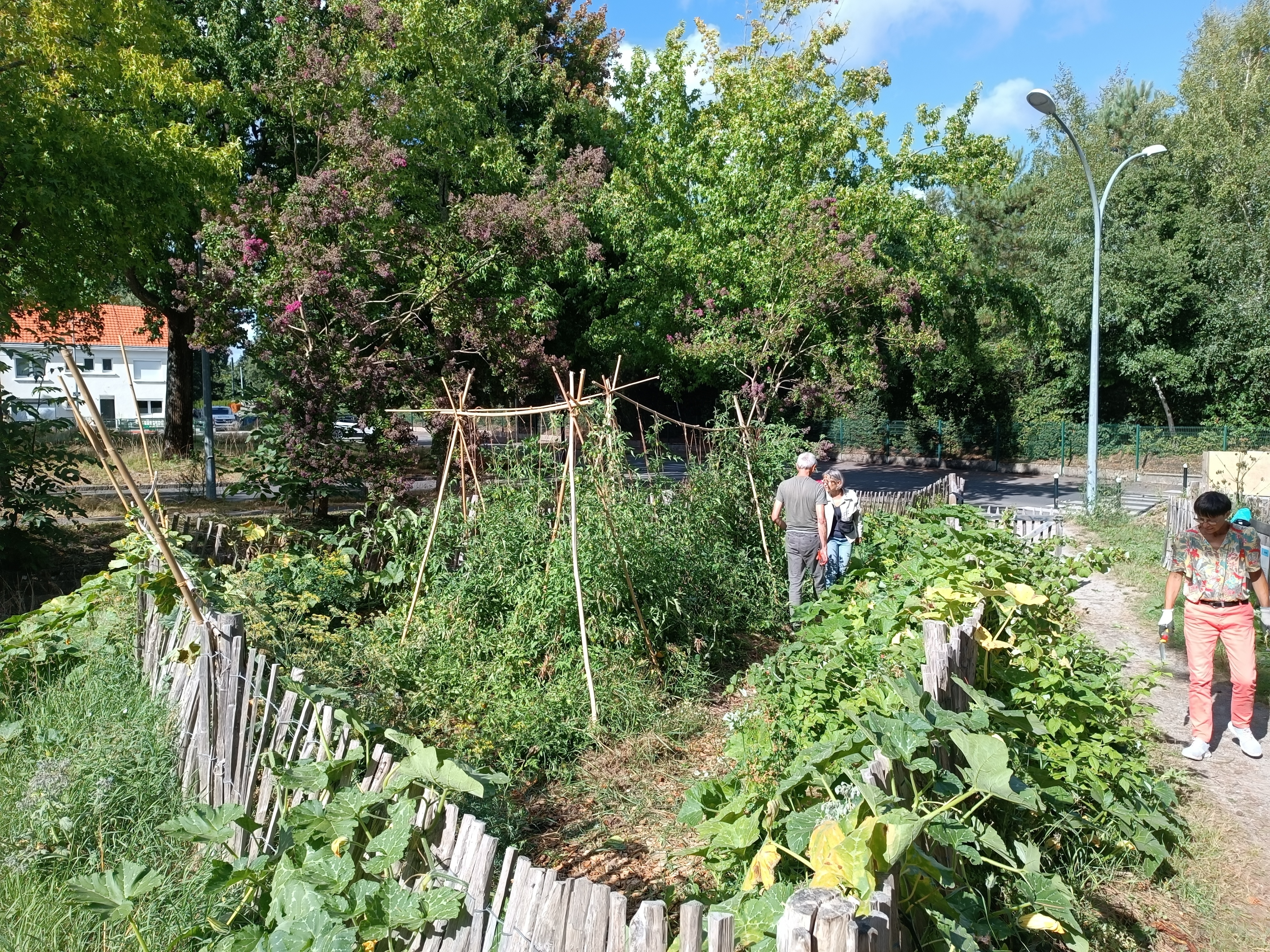 Animation au jardin partagé du Pin Sec, avec ECOS