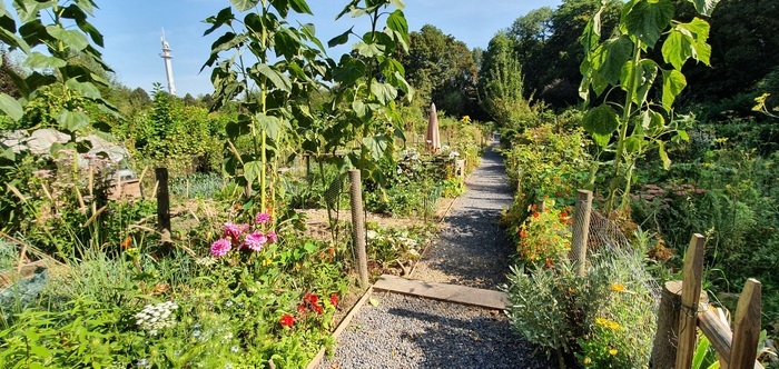 Apéro avec l'association des jardins familiaux de la citadelle.