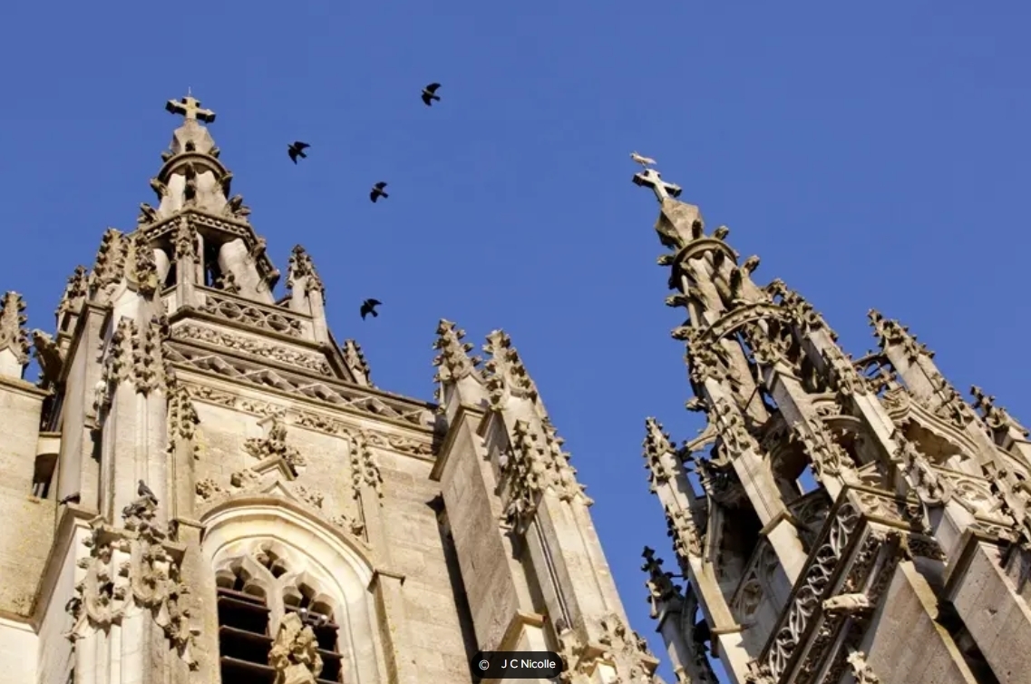 Visite guidée de la Basilique de l'Epine
