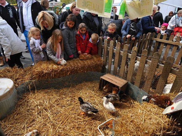 SORTIE À LA FERME DE GRAVELINES
