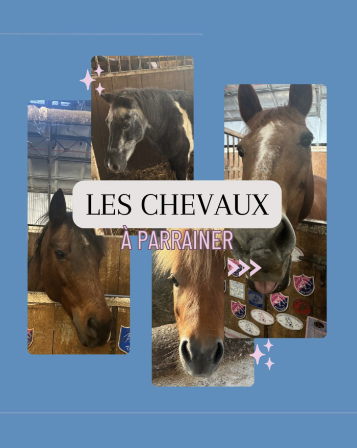 parrainage de chevaux inactifs