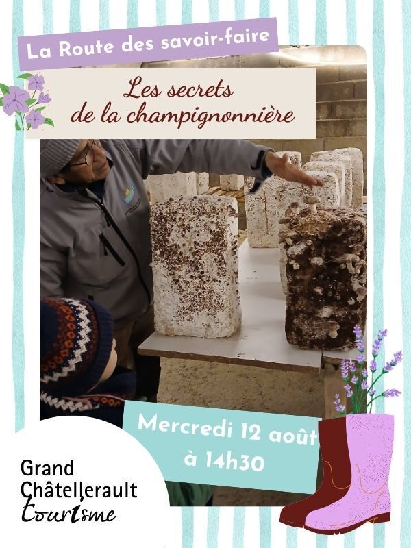 Les secrets de la champignonnière