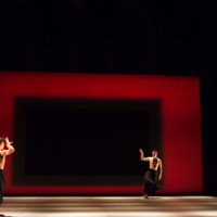 It densa - Delta danse