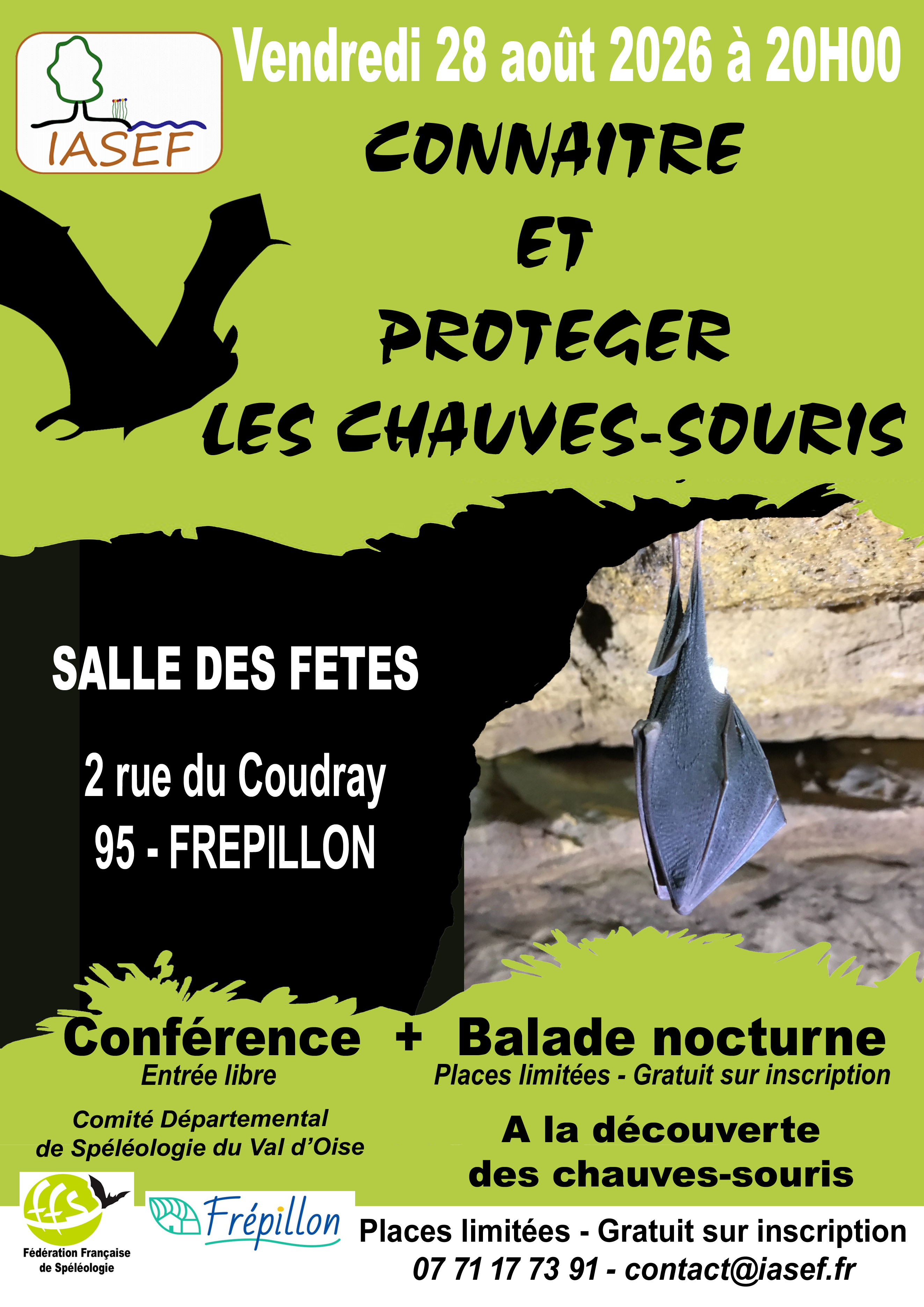 A la découverte des chauves-souris