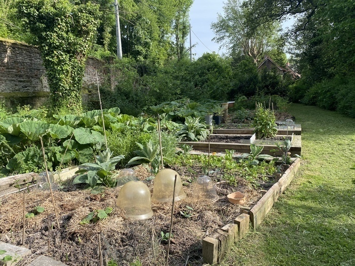 Visite d'un potager en permaculture du château de Rametz