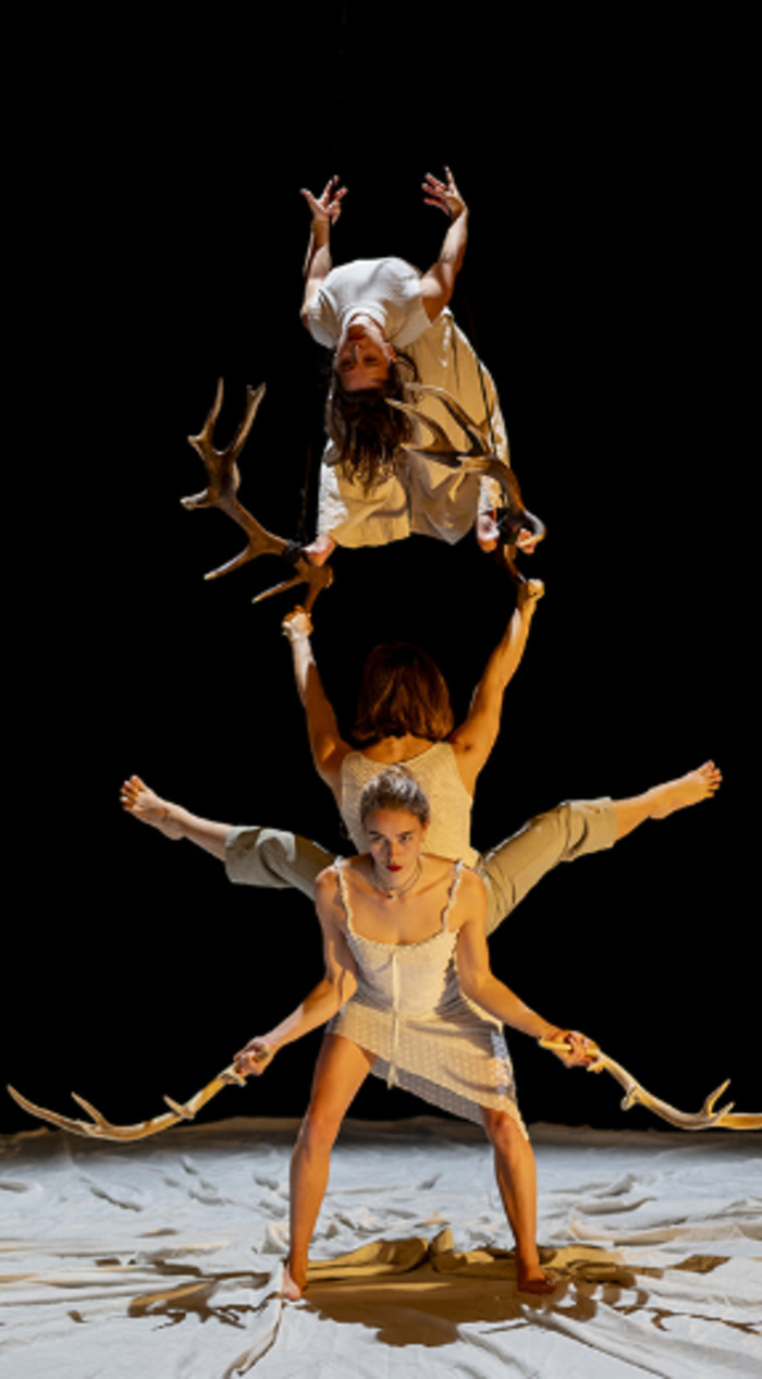 Cirque - Faune Cie Libertivore