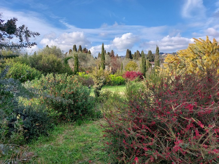 Visita guidata della collezione botanica