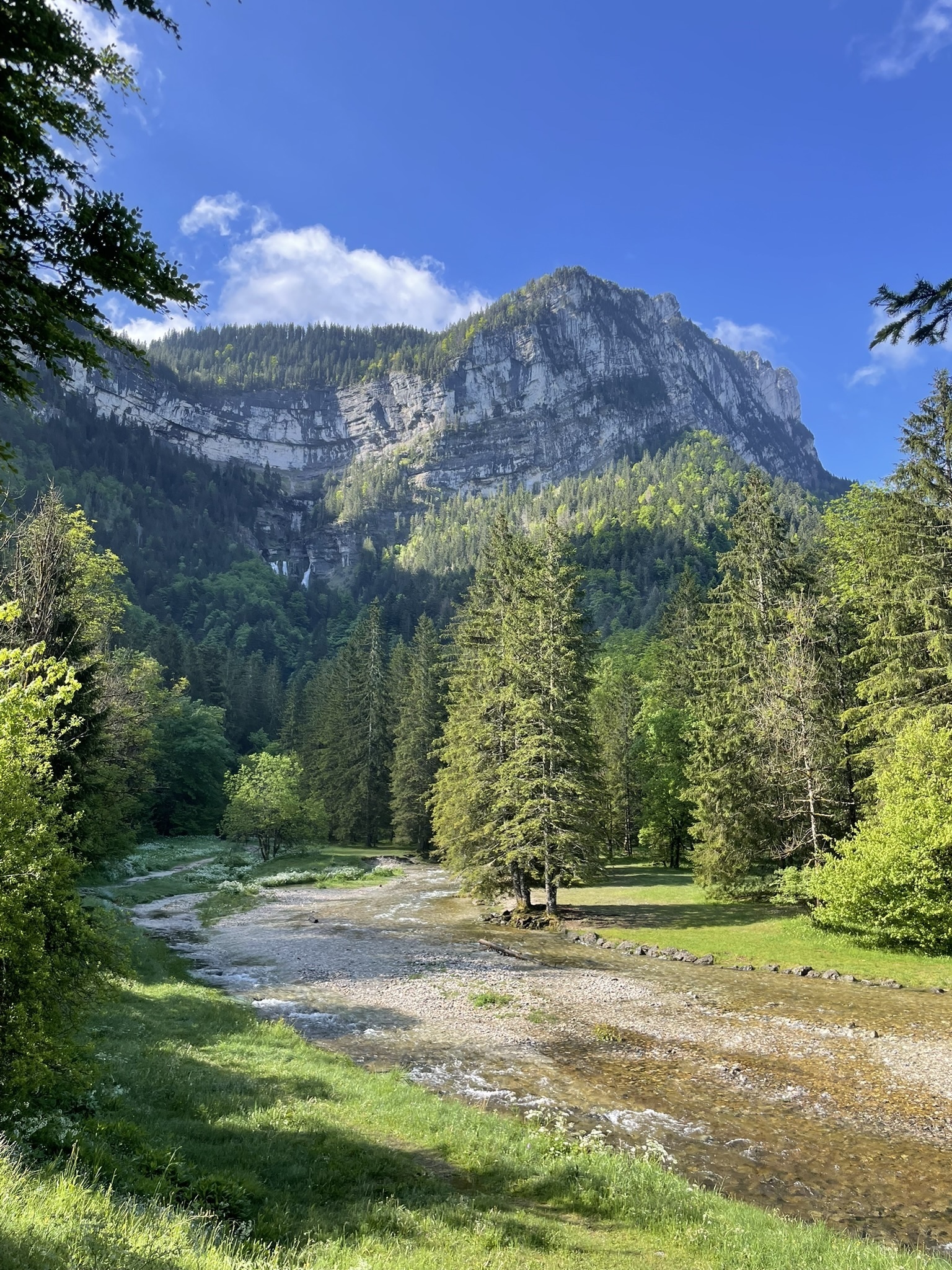 Visite sylviculture : la forêt de Chartreuse