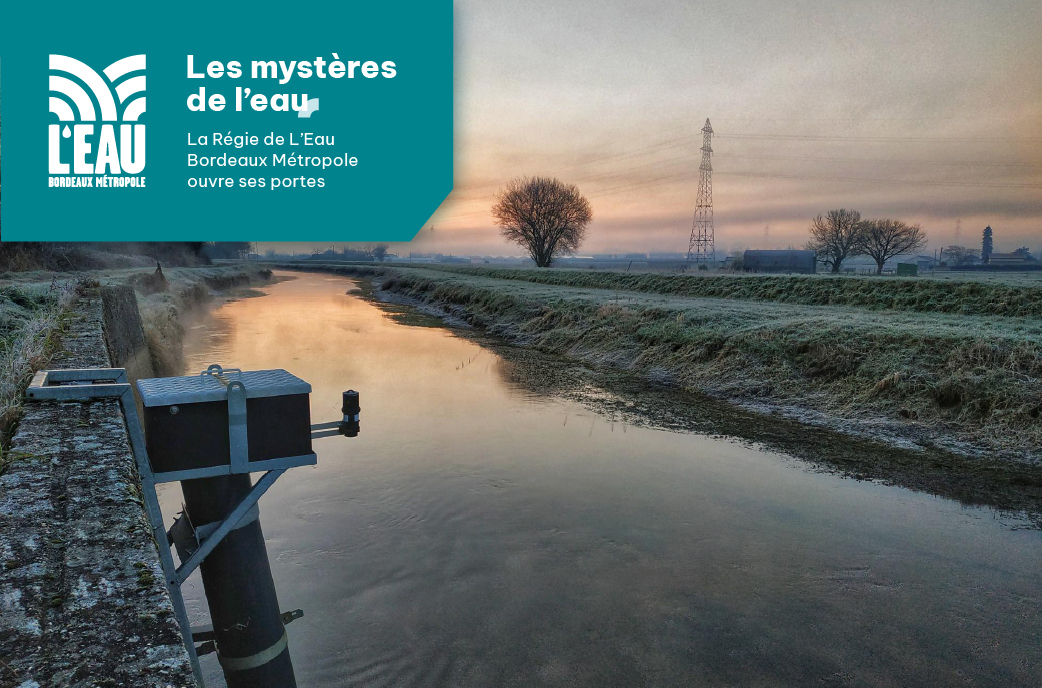 Randonnée : « les bords de Jalle »