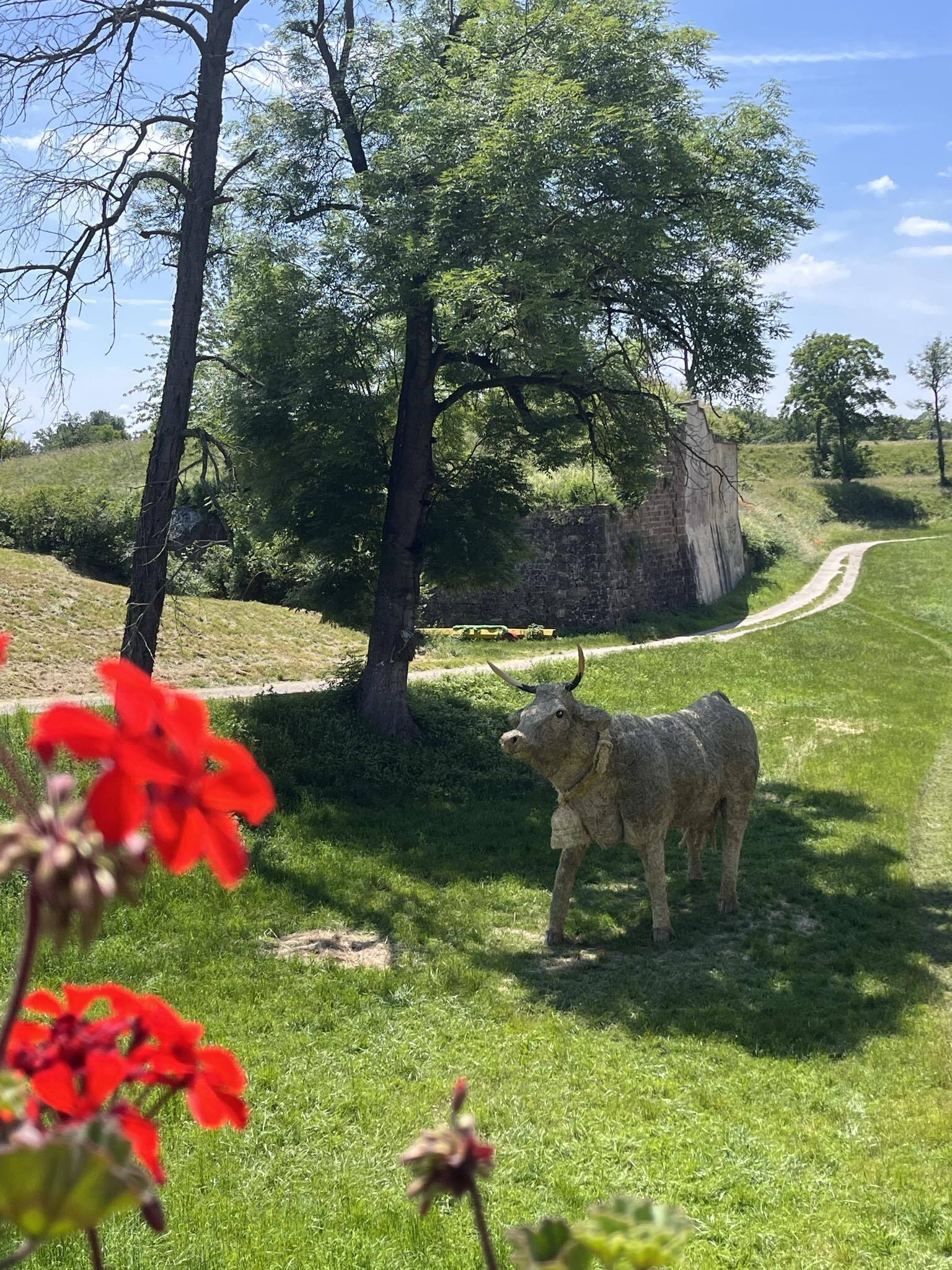 Animation portant sur le patrimoine naturel de Neuf-Brisach
