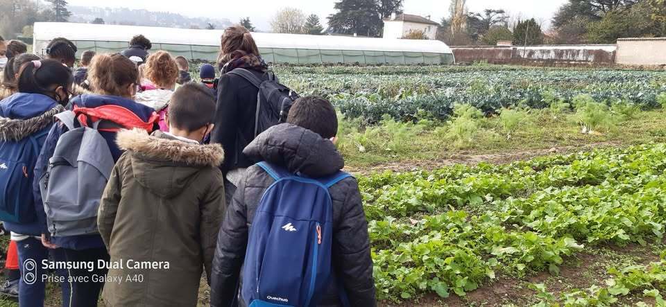 Balade historique commentée des sites maraîchers de la Ferme de l’Abbé Rozier et du CFPH