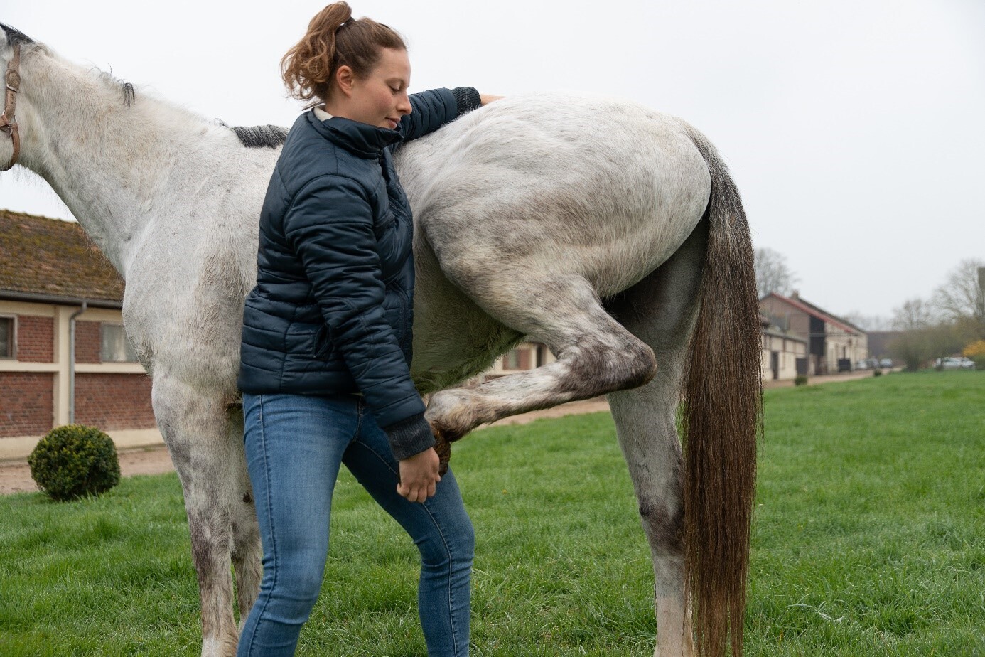Ostéopathie équine, dans les coulisses des courses hippiques