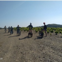Fascinant week-end - Balade viticole à trottinette électrique