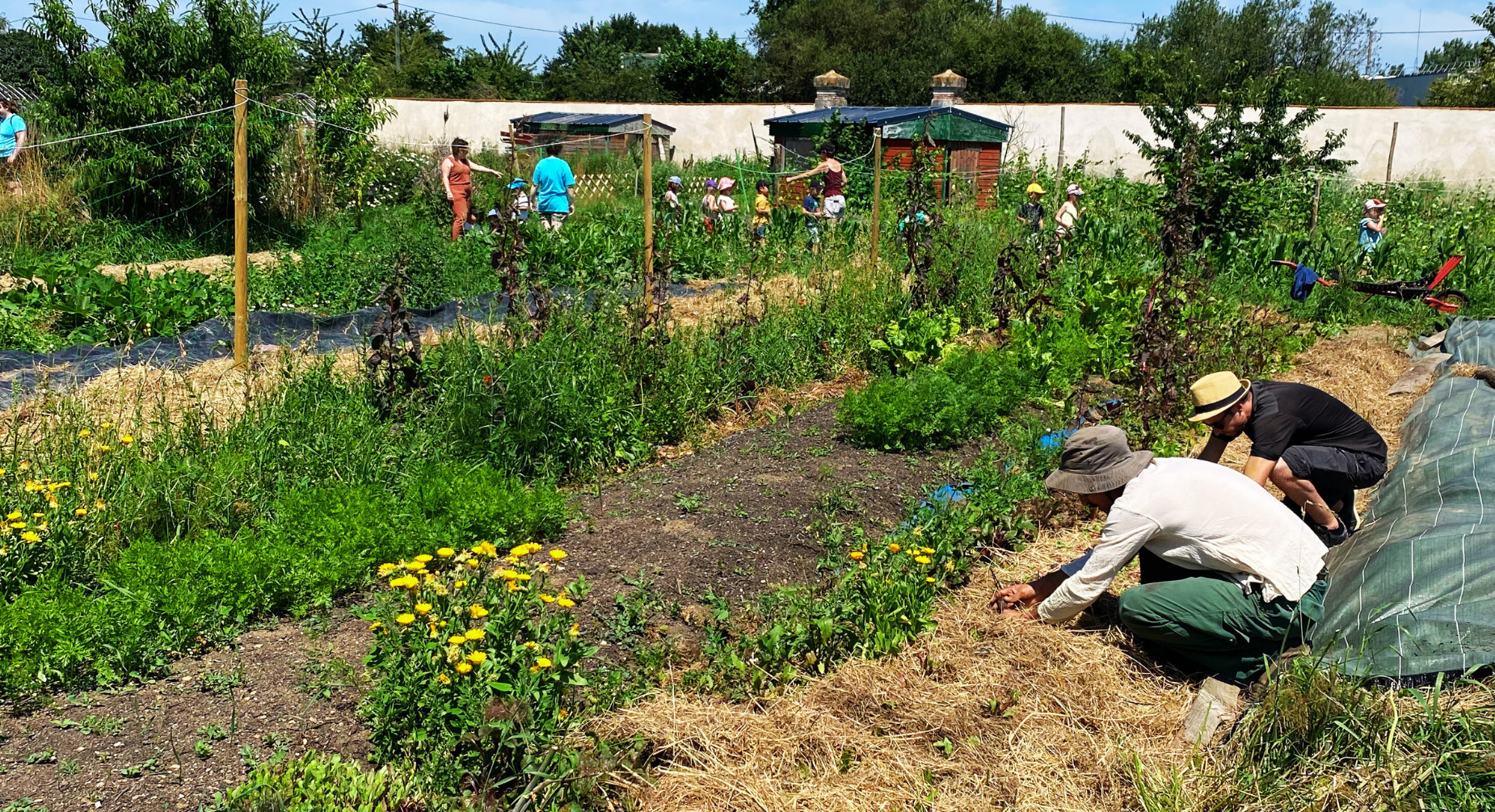 Stage 2 jours : Concevoir et cultiver son potager au naturel