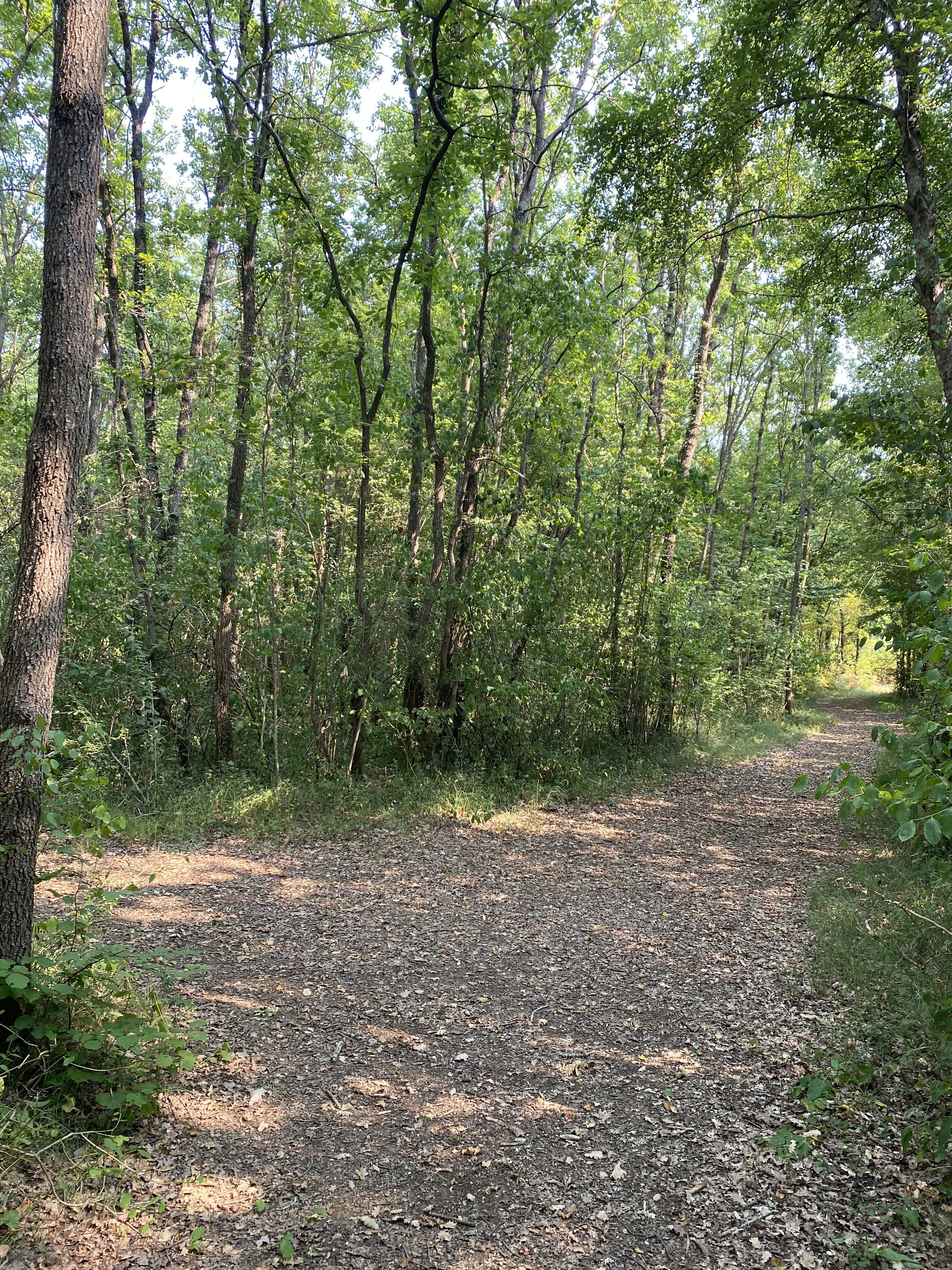 Sentier ludique et connecté "Explorama" à l'Asinerie du Baudet du Poitou