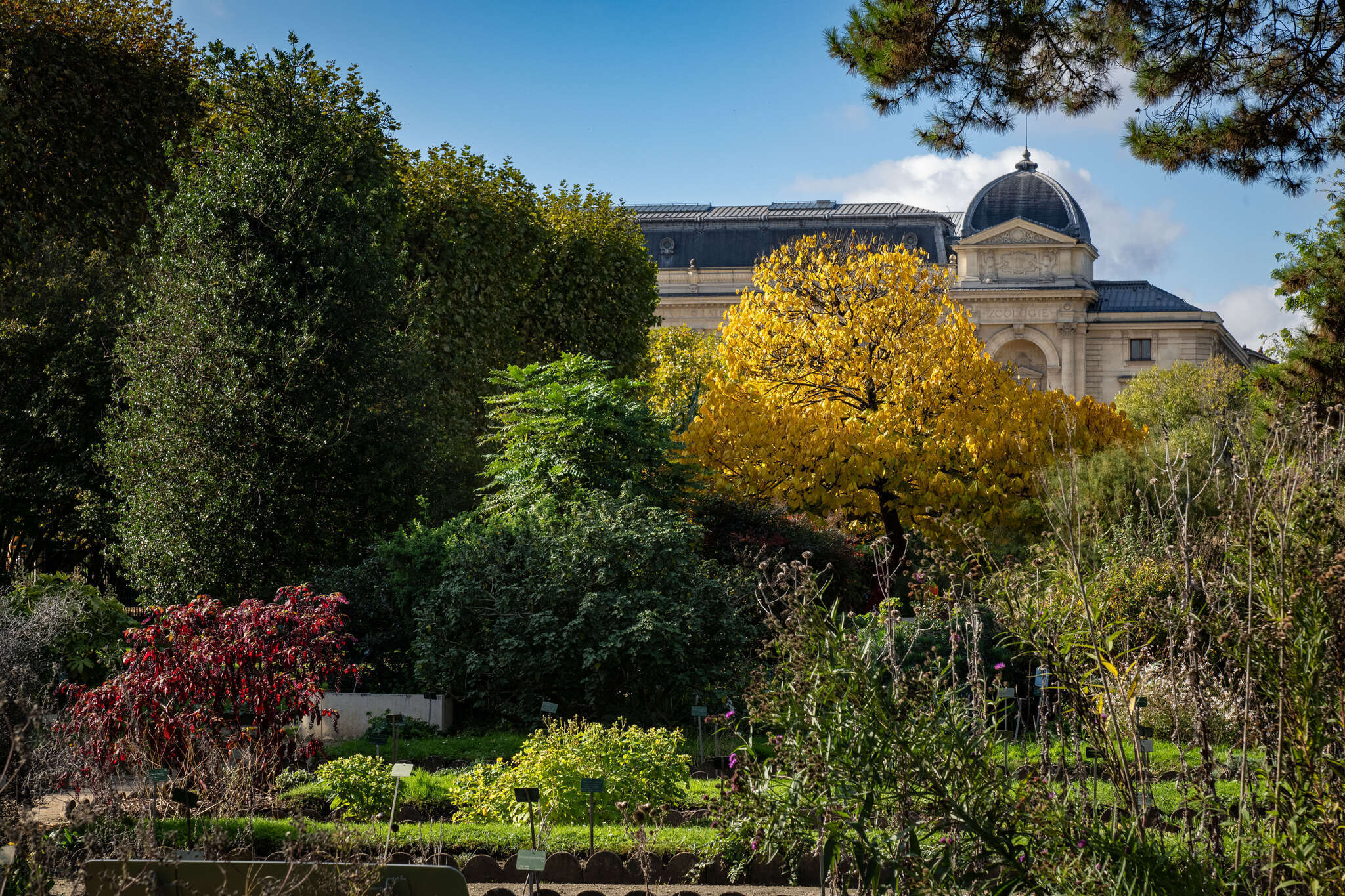 Promenade littéraire et historique dans le Jardin