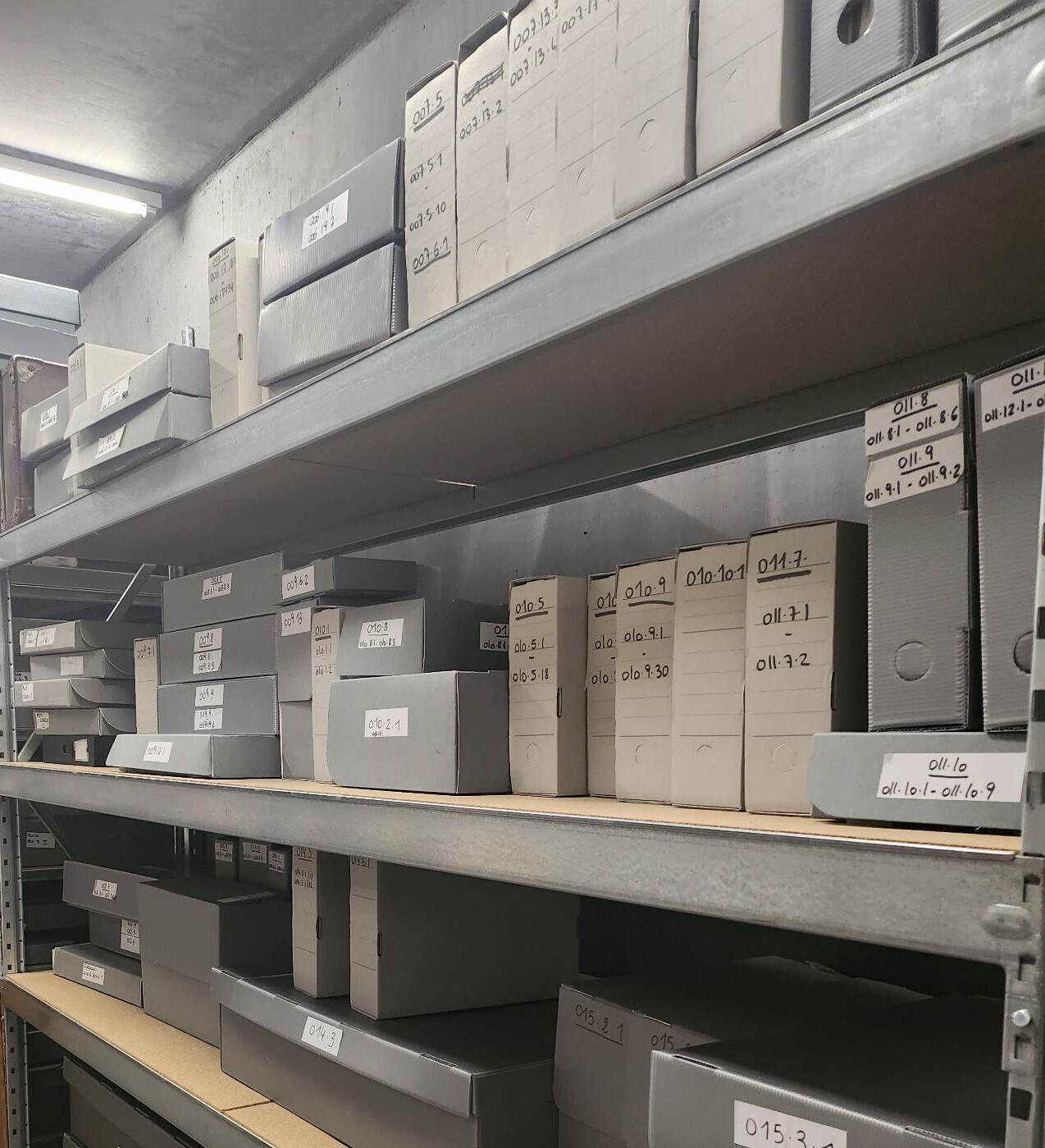 À la découverte des collections