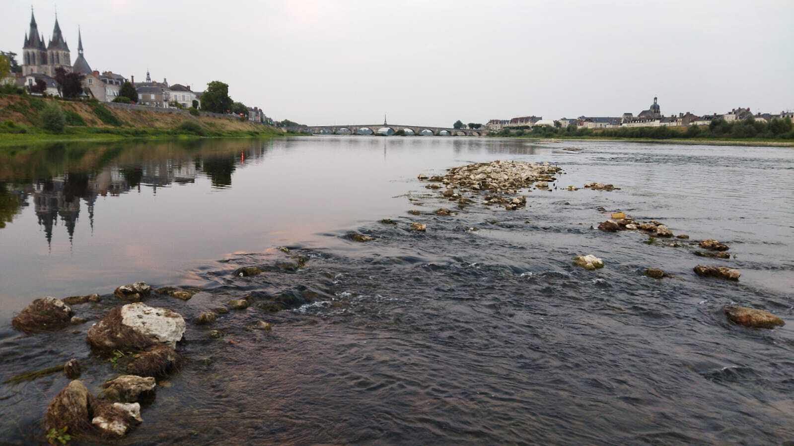 Visite guidée « Vivre Blois et son fleuve »